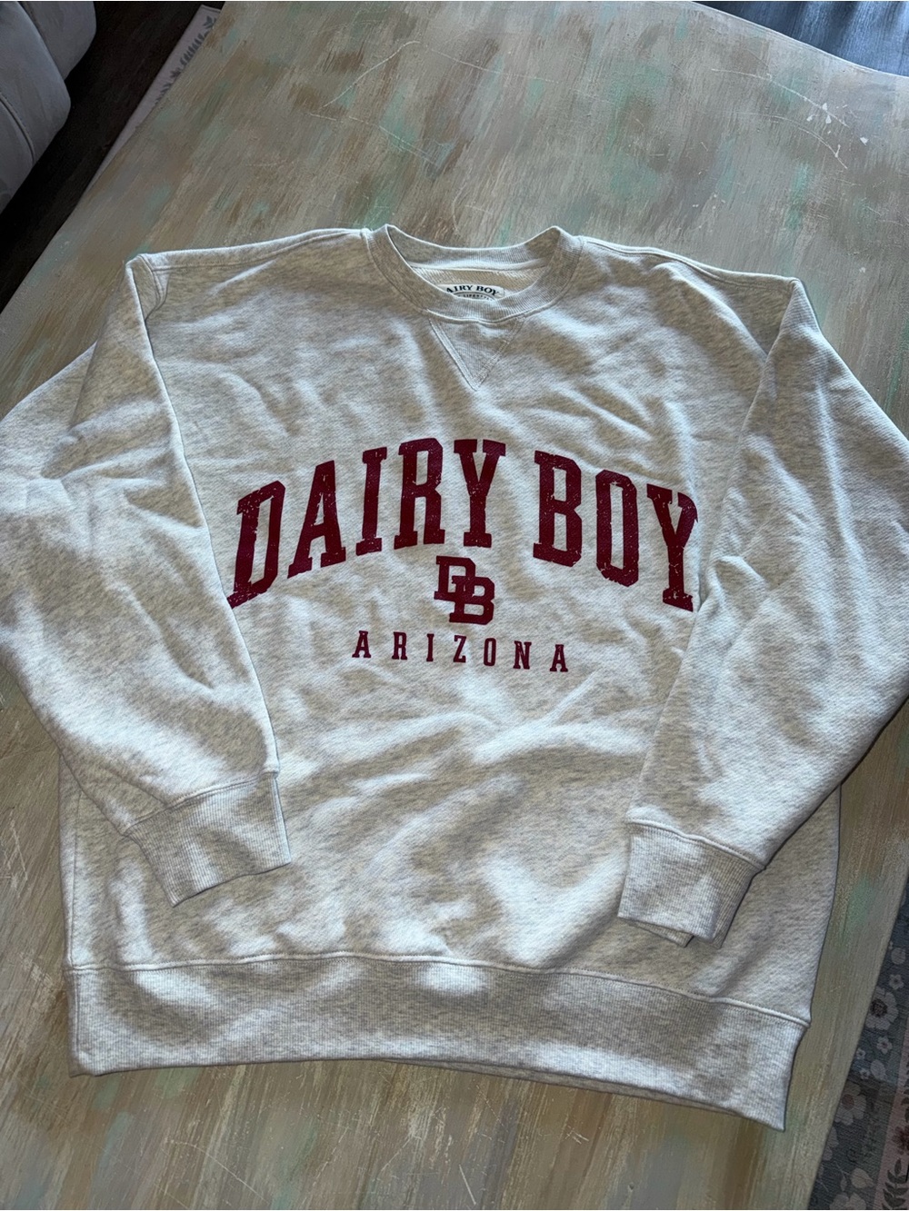 Dairy Boy Arizona Duel In The Desert Oversized Crewneck Sweatshirt Sz M NWT